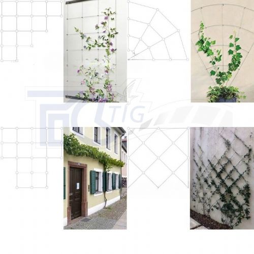 TIG啟思工業 植物攀爬鋼索配件 植生網/鋼索/鋼索網/不銹鋼鋼索配件/攀爬網/