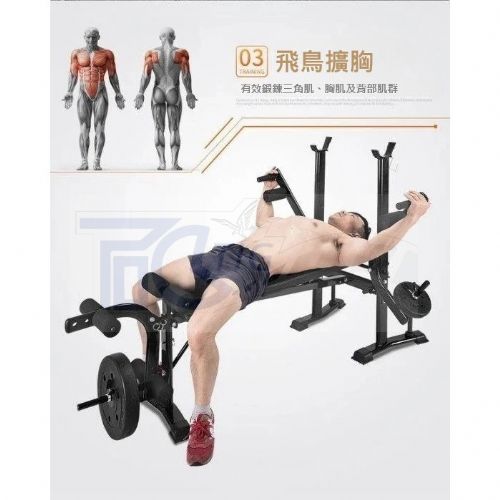 TIG啟思工業 舉重床/ 舉重椅/啞鈴椅/啞鈴/槓片 另售仰臥板 啞鈴 單槓 拳擊 滑板車 引體向上 跑步機 訓練台 拉筋板