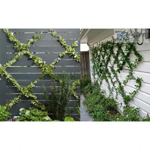 TIG啟思工業 植物攀爬鋼索配件 植生網/鋼索/鋼索網/不銹鋼鋼索配件/攀爬網/