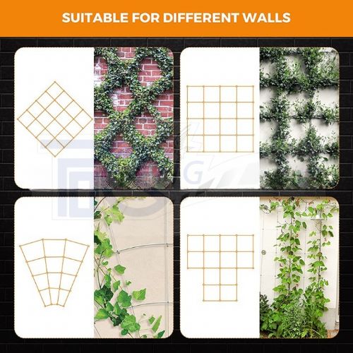 TIG啟思工業 植物攀爬鋼索配件 植生網/鋼索/鋼索網/不銹鋼鋼索配件/攀爬網/