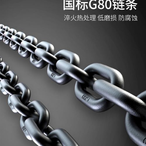 TIG 啟思工業 :鏈條吊車/500 1000kg吊車/模具吊車/小金剛/ 吊車/電動吊車/單相220V 110V 電壓