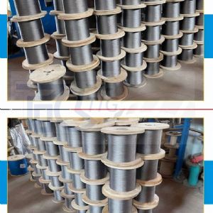 TIG啟思工業 鍍鋅鋼索/不鍍鋅鋼索/包膠鋼索/304 316鋼索/鋼索加工/不銹鋼配件/PVC PE 尼龍鋼索