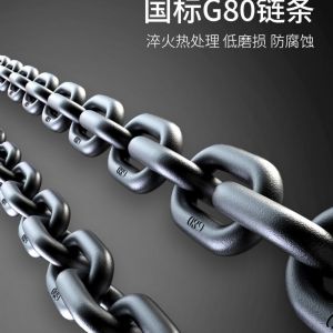 TIG 啟思工業 :鏈條吊車/500 1000kg吊車/模具吊車/小金剛/ 吊車/電動吊車/單相220V 110V 電壓